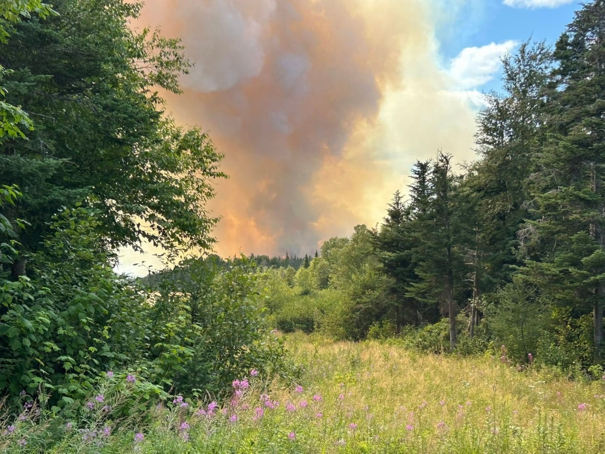 Orange smoke rising in nature