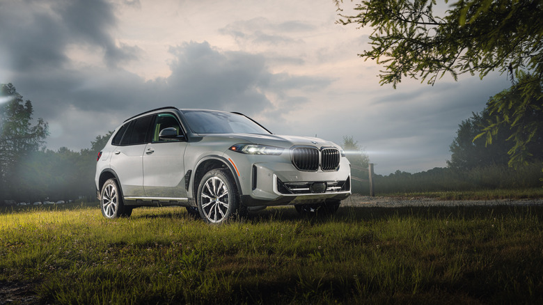 The BMW X5 Silver Anniversary SUV parked on a country road