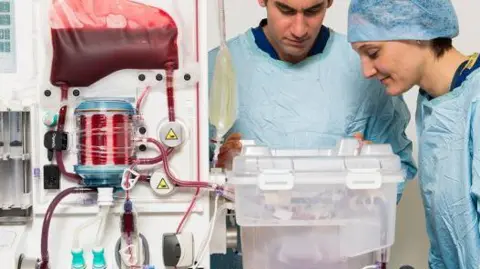 University of Oxford An organ in a white plastic box hooked up to a machine, with blood filtering through it.