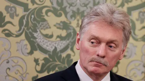 Reuters Headshot of Dmitry Peskov, who has white-grey hair and a moustache. A yellow wallpaper with a green dragon print is on the wall behind him.