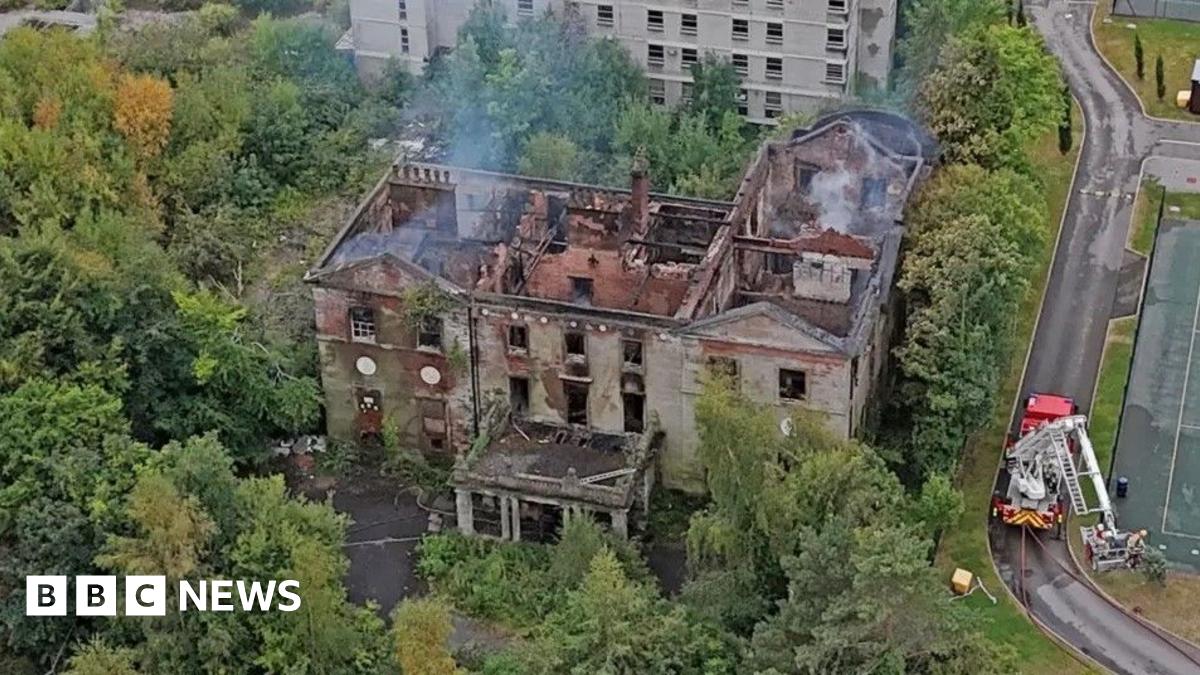 A Yangtze finless river porpoise underwater looks into the camera