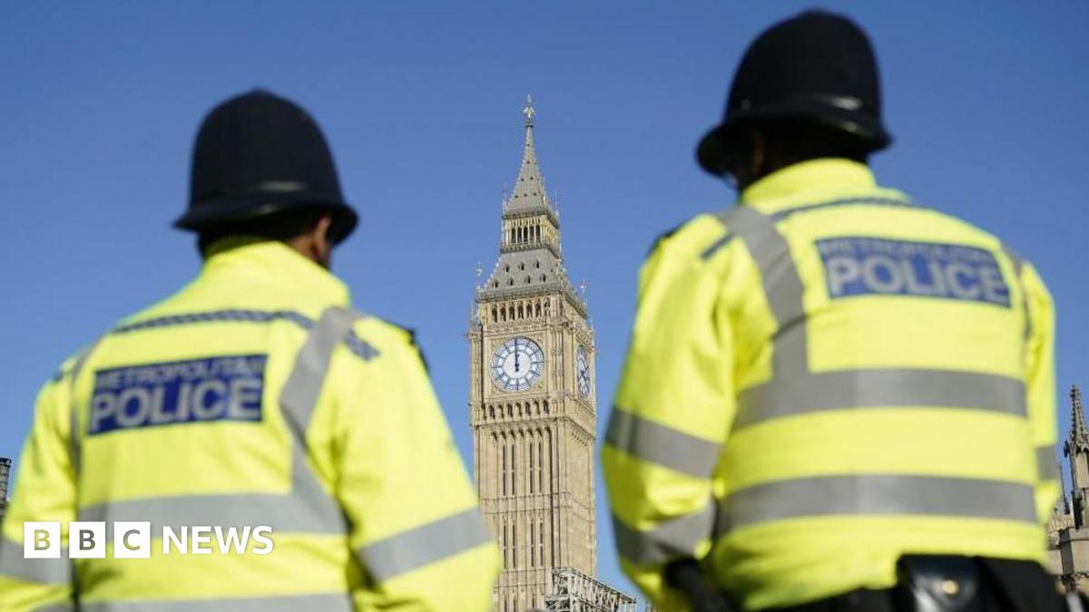 Rear view of two Metropolitan Police officers in custodian helmets and high-vis police jackets. The Houses of Parliament can be seen in the background against a blue sky.
