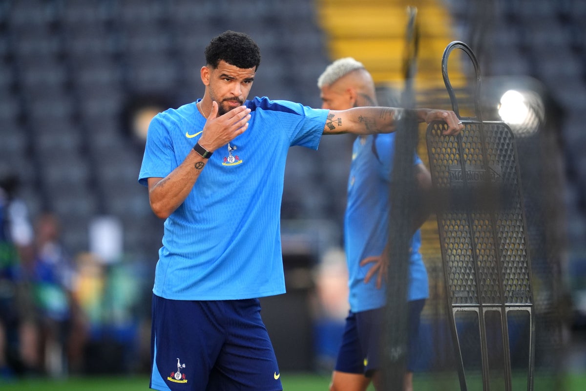 Dominic Solanke injury will not change Tottenham’s transfer plans – Thomas Frank