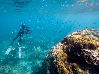 The crystalline waters of Ningaloo Reef, pictured in healthier times.
