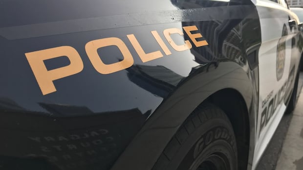 Calgary police say a BMW driver hit a parked car so hard that 6 more were damaged in a chain reaction