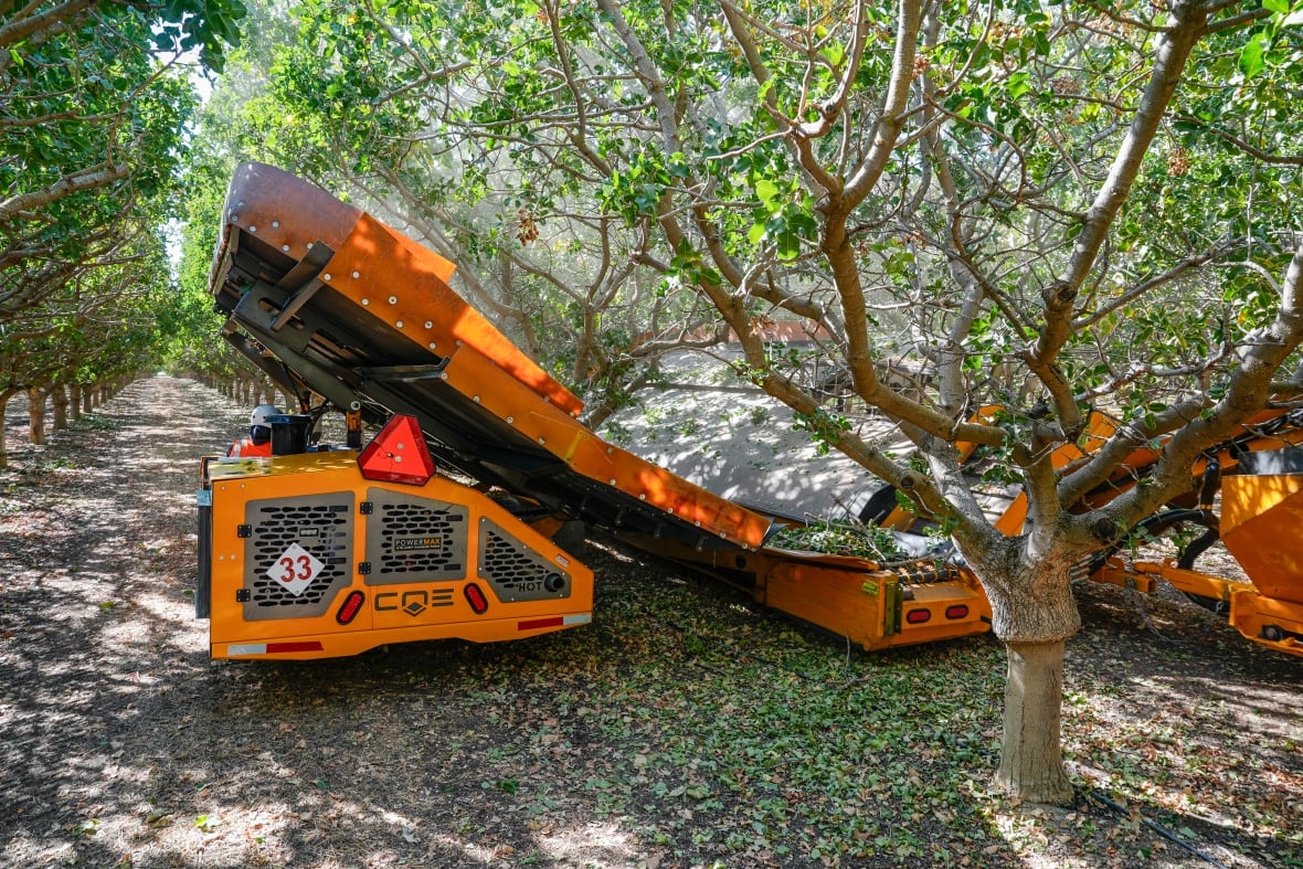 Wonderful Orchards uses two machines to shake pistachio trees during harvest in  Lost Hills, Calif., in October 2024.