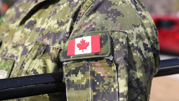 Military pay raise a big boost for lower ranks, officials say