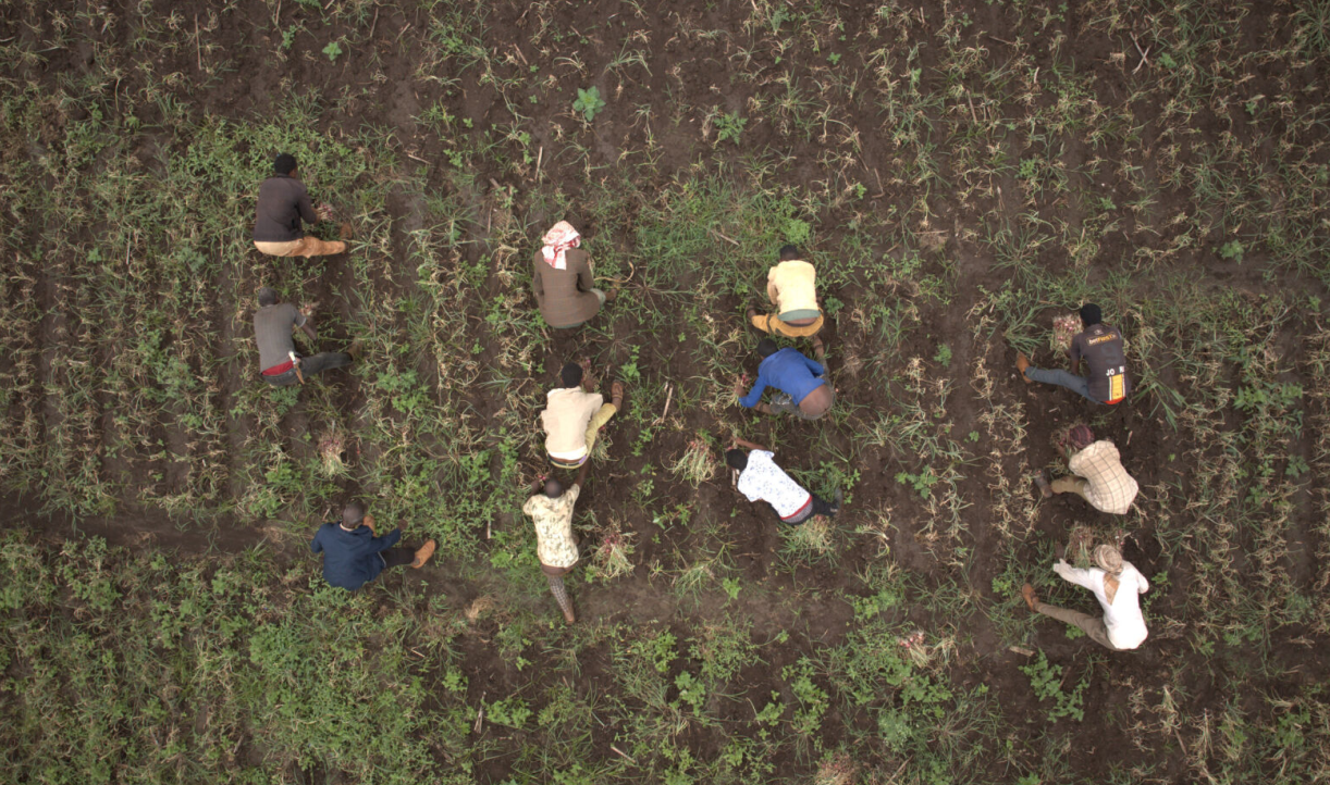 Key Themes to Watch at the 2025 Africa Climate Summit