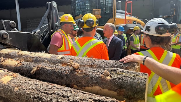 U.S. increases duties on Canadian softwood lumber, bringing total to more than 35%
