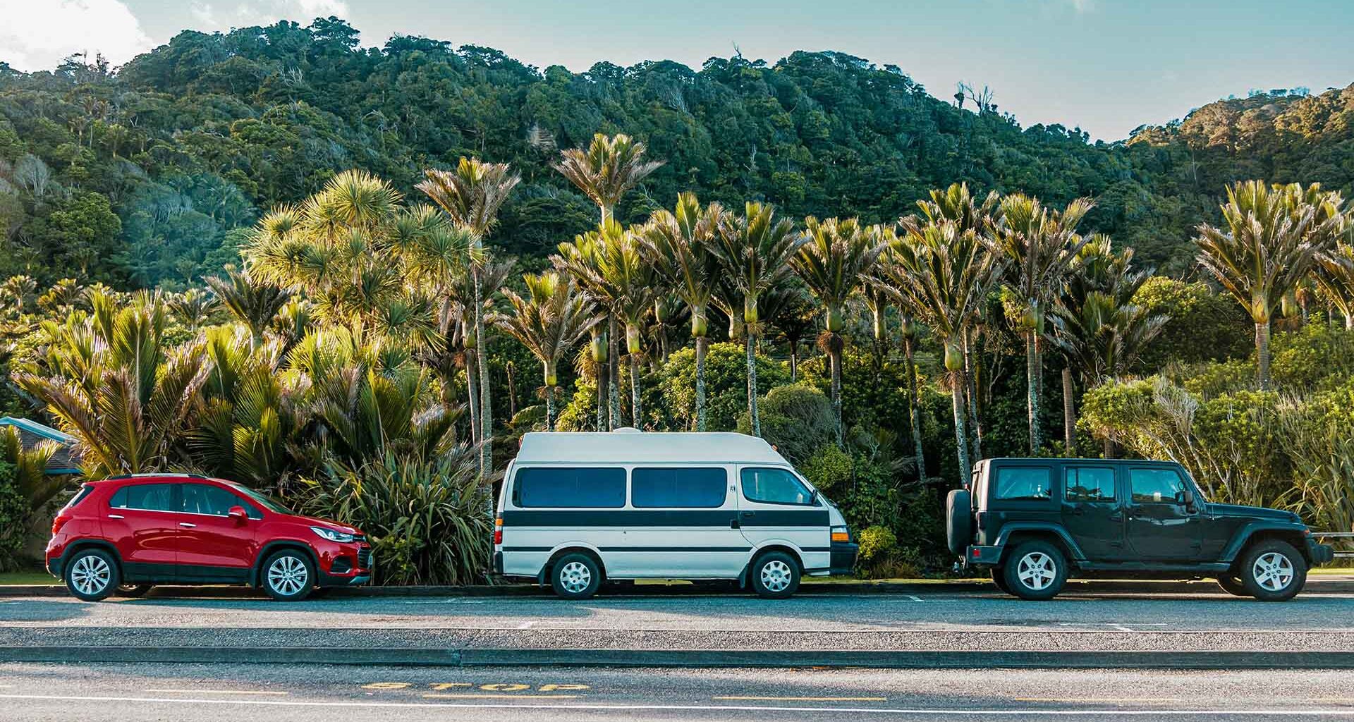 A row of parked cars in Punakaiki, West Coast, New Zealand.