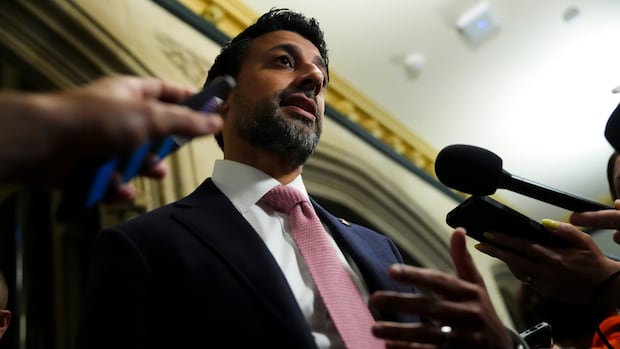 Canada's trade minister eyes new markets, smaller trade delegations