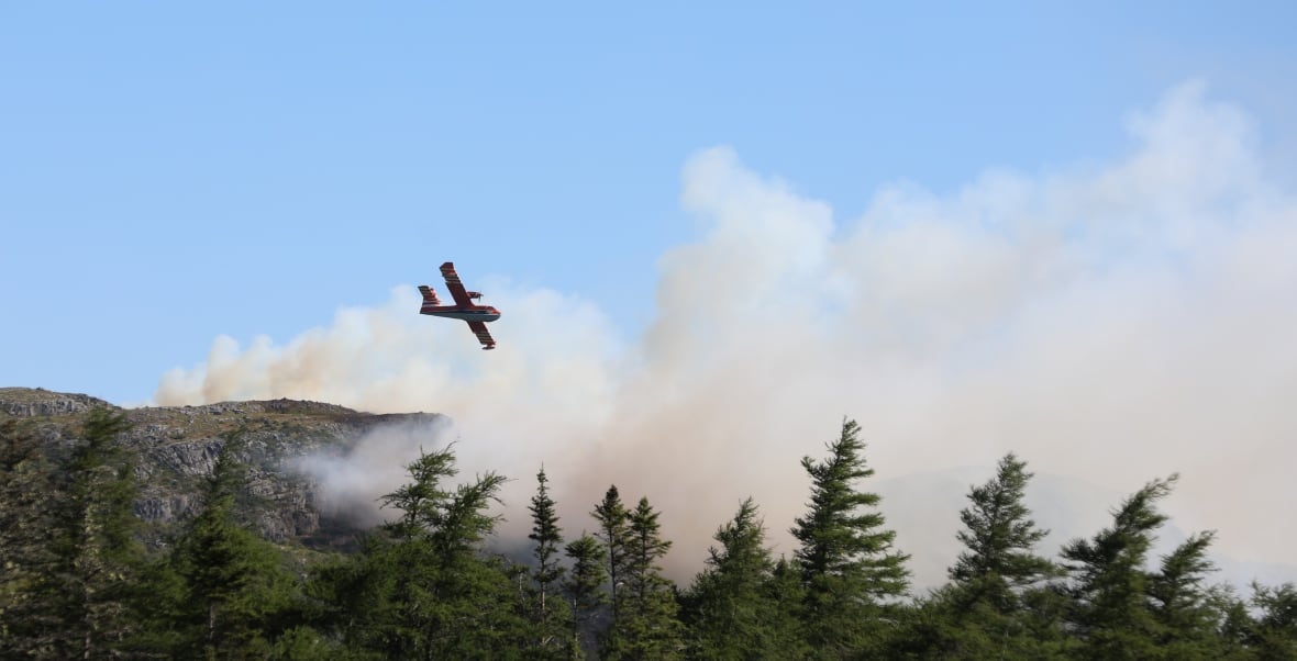 A waterbomber flies against a blue sky, above trees and smoke.