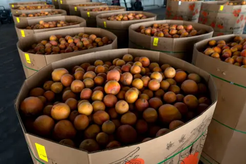 Getty Images Two rows of very large boxes of orange fruits in a warehouse