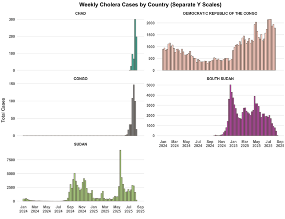 Cholera Epi curve