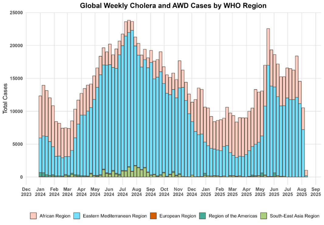 Cholera global epi curve