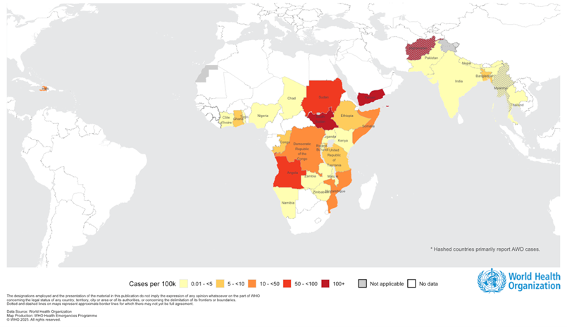 Cholera global map