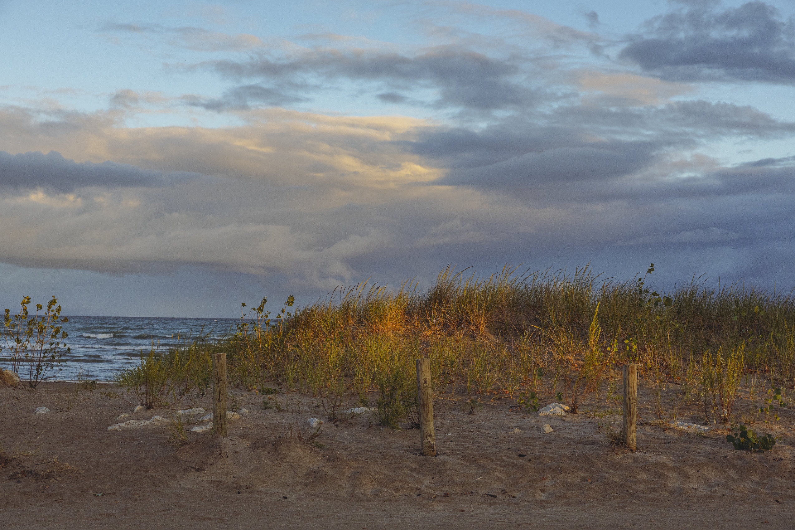 Sunrise casts a soft golden glow on a vegetated sand dune on Wasaga Beach.