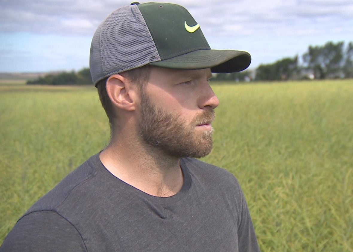a man in a ball cap stands in a field of canola