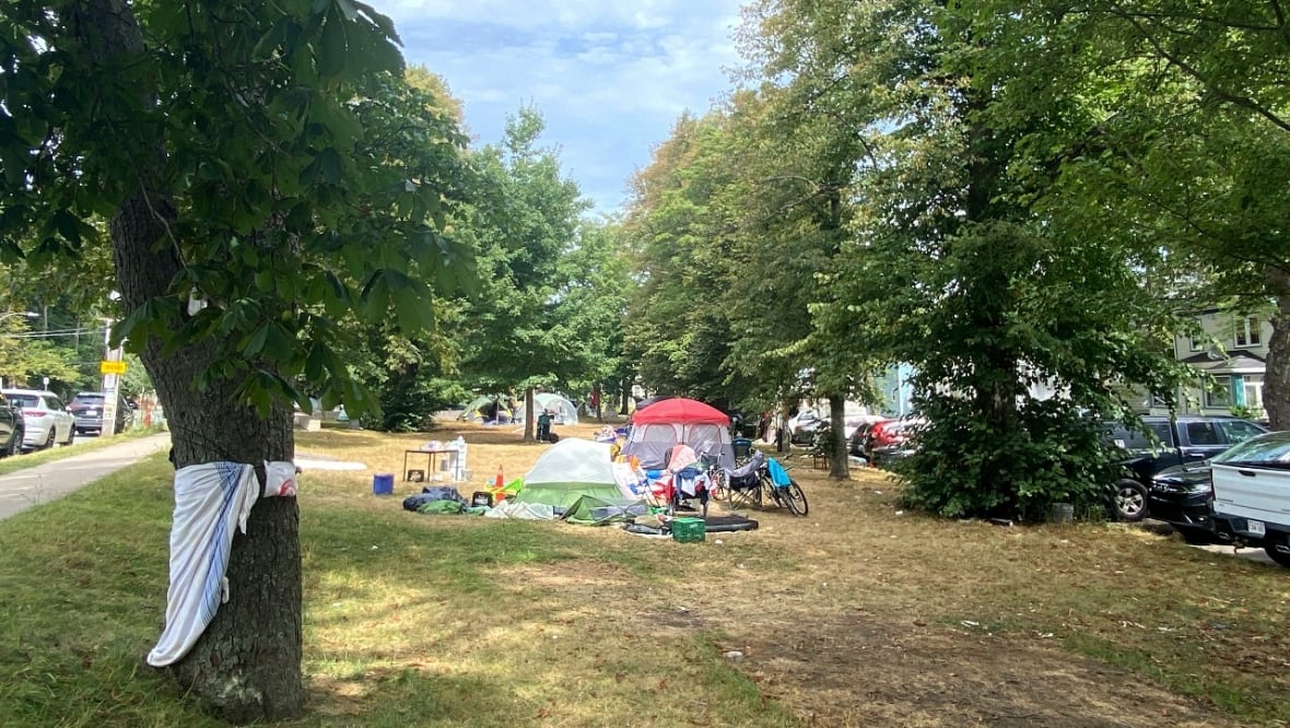 Two red and green tents sit on green grass in a small park, surrounded by green leafy trees. They are surrounded by a couple of bicycles, sleeping bags and other belongings.