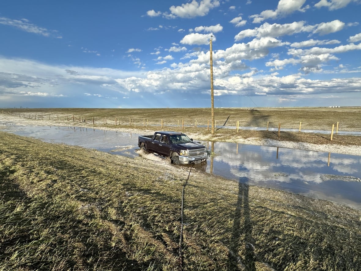 A dark-coloured truck is parked in a grassy ditch that is filled with water. The side windows on the truck are smashed out. 