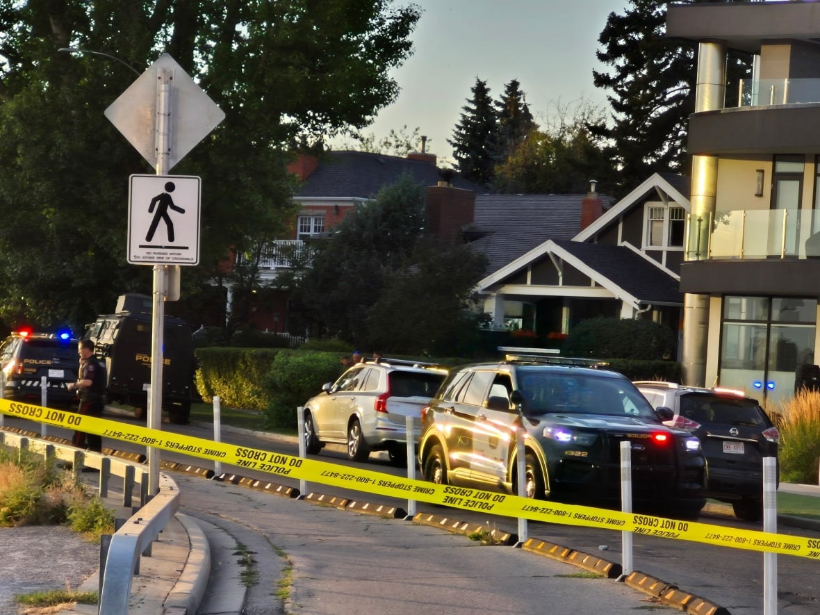 Police cruisers sit behind police tape on a road lined with beautiful houses.