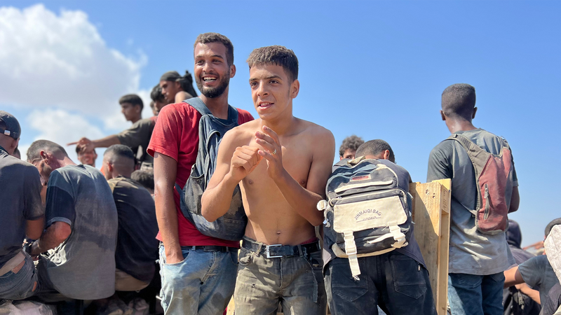 "We are a flock of sheep running toward the grass"