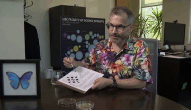 ‘It’s just a hobby’: Meet the B.C. scientist whose crosswords have run in the NY Times