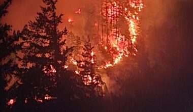 Out-of-control wildfire grows to 50 hectares overnight in Fraser Canyon | Fraser Valley Today