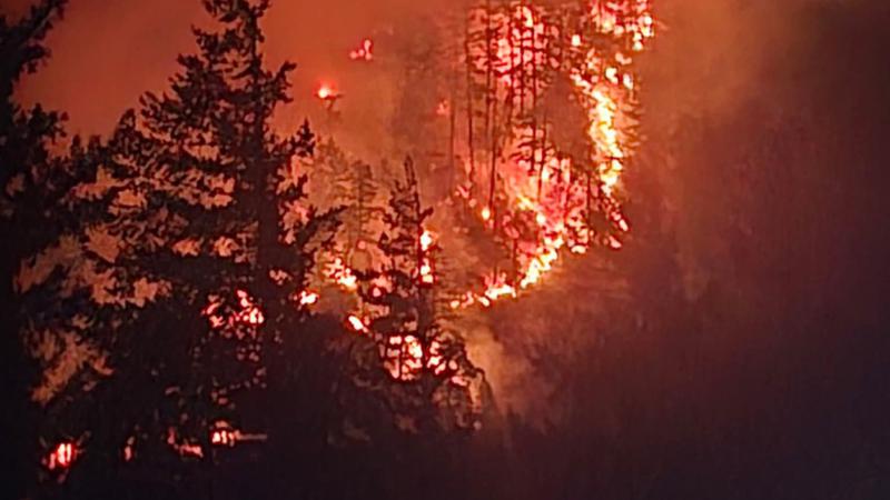Out-of-control wildfire grows to 50 hectares overnight in Fraser Canyon | Fraser Valley Today