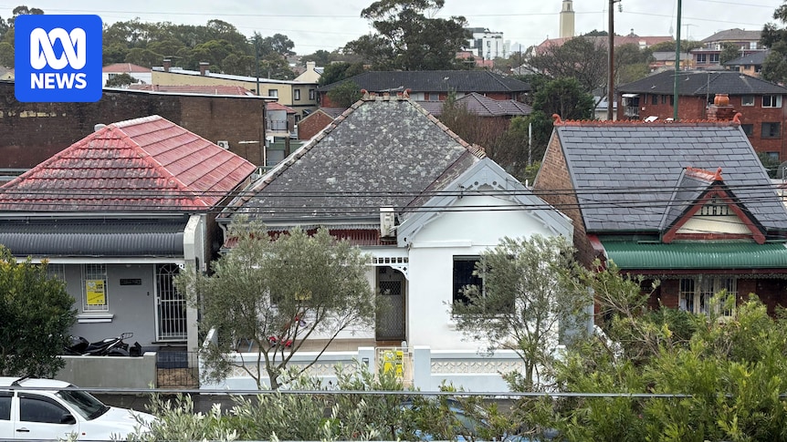 Proposed zoning laws across Sydney could see the faces of several suburbs change