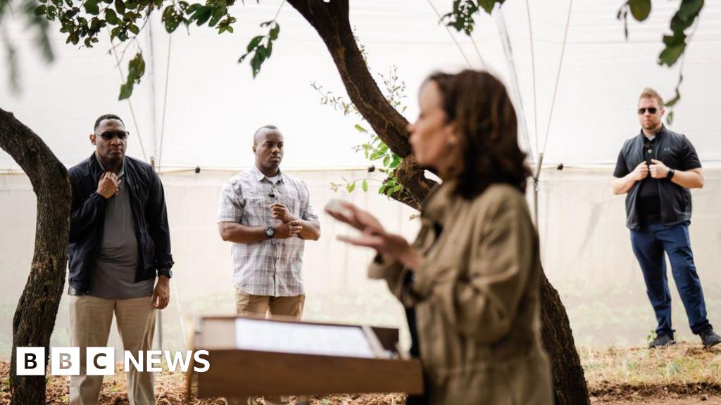 Why has Kamala Harris' Secret Service detail been withdrawn?