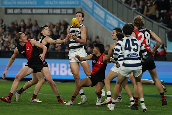 Shannon Neale of the Cats marks the ball.