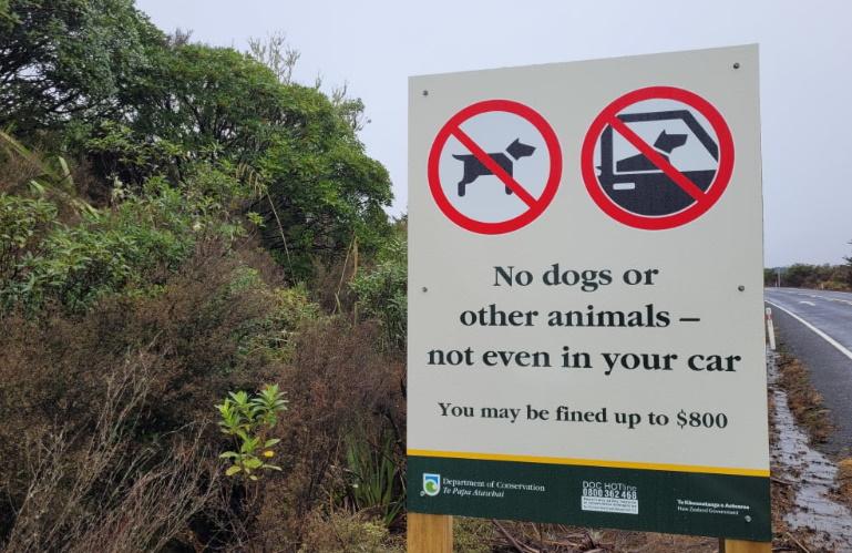 Insult to 'celebrate lawbreaking': Photos lead to $400 fine