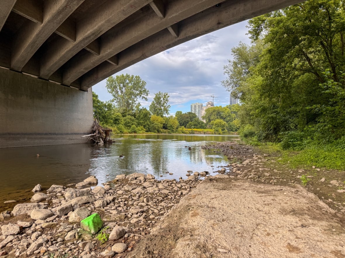 The receding water levels this summer have been noticeable for Anis Omar, who runs the Riverside Social Club.
