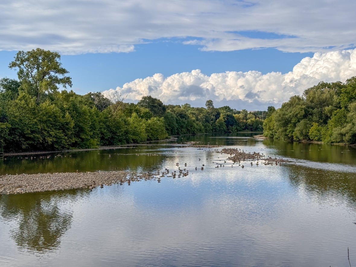 In order to get back to normal water levels, a significant amount of precipitation will be needed, Heagy explained, adding that she's hopeful to see a few days of steady rainfall as the weather changes heading into the fall. 
