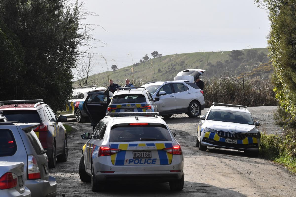 Two 'helping police' after armed callout