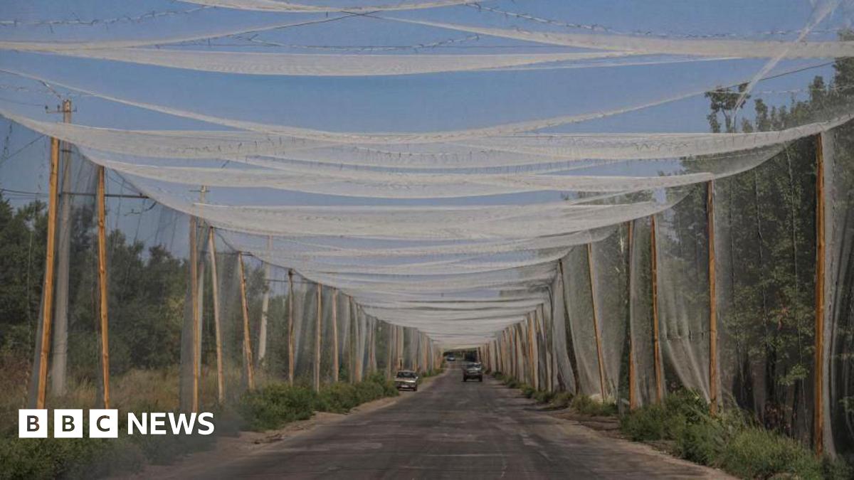 Anti-drone nets hang over a quiet rural road in the Ukrainian region of Donetsk.