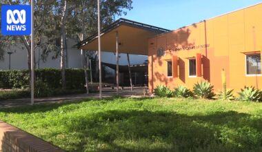 Court hears 13yo Chinese student was mentally unwell during alleged stabbing of 14yo