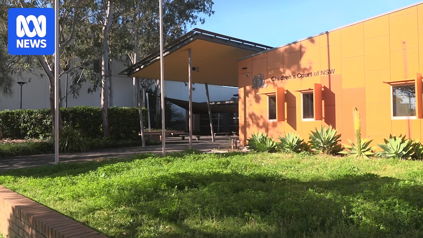 Court hears 13yo Chinese student was mentally unwell during alleged stabbing of 14yo