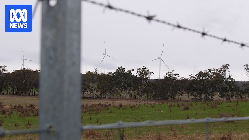 NSW councils and farmers call for halt to renewable energy developments