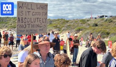 Parliamentary inquiry to probe Cook government's anti-NIMBY planning laws