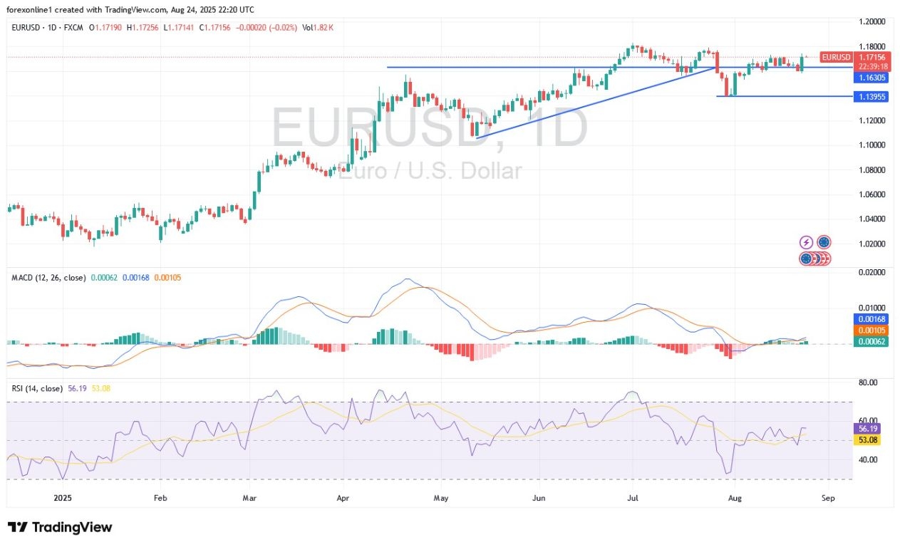 EUR/USD Analysis 25/08: Attempts to Rally Again (Chart)