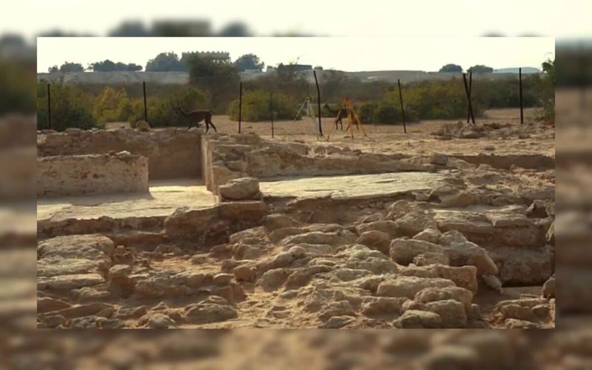 Excavation Site. Credit Abu Dhabi Department Of Culture And Tourism