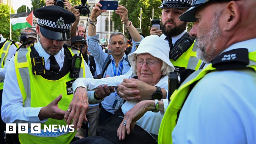 Lib Dems call for review of law after Palestine Action arrests