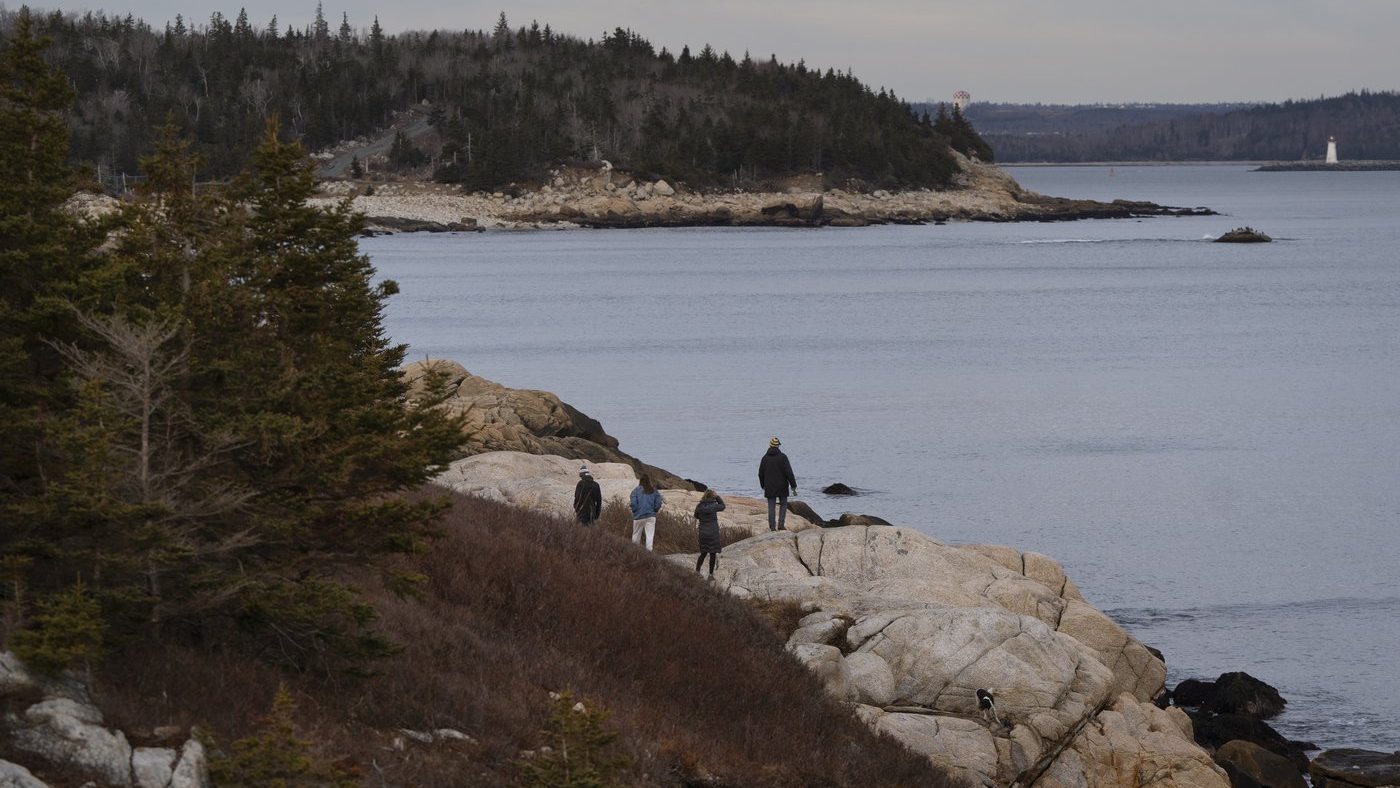 Halifax to install signs at parks impacted by provincial woods ban