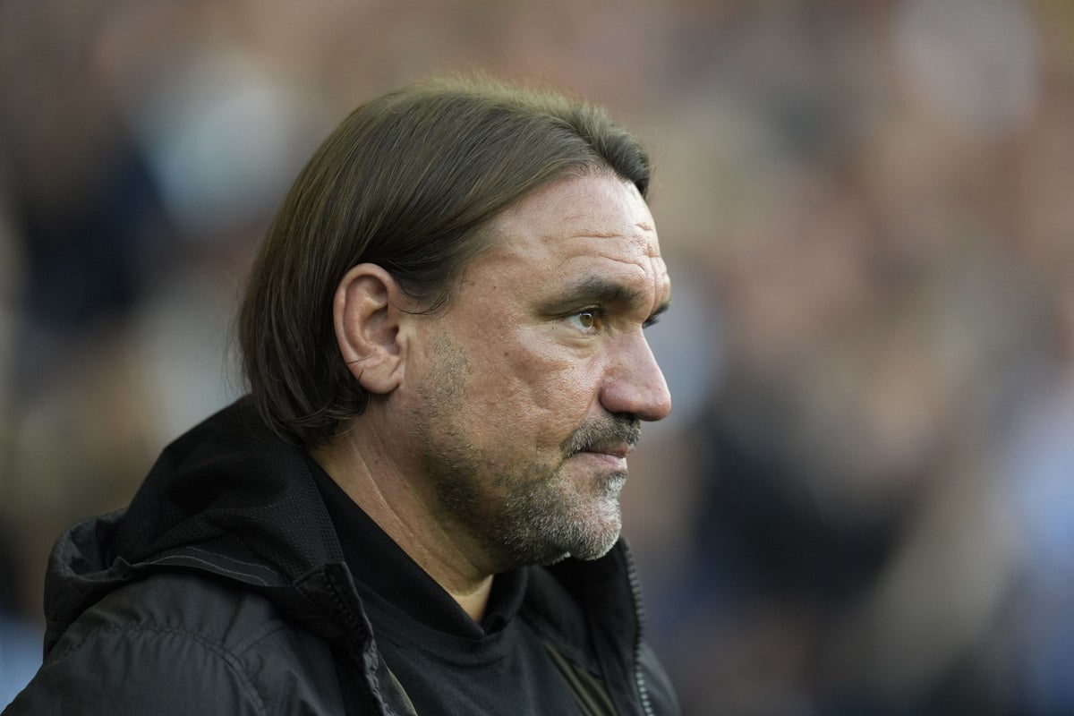 Daniel Farke apologises to Leeds fans after cup exit at Sheffield Wednesday