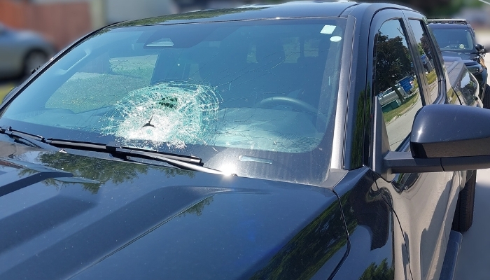 niagara rock throwing