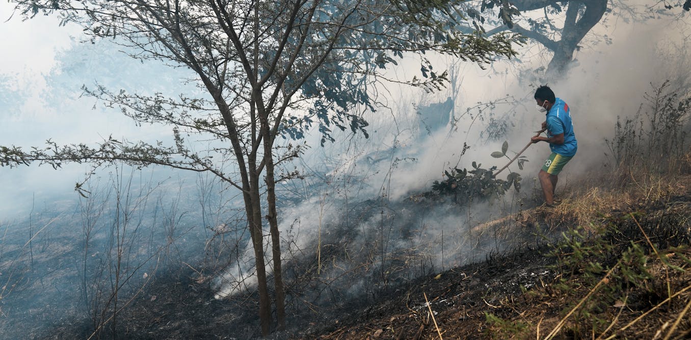 Wildfire disasters are increasingly in the news, yet less land is burning globally – here’s why