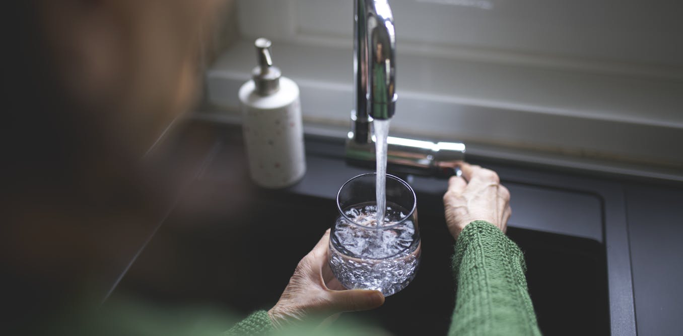 A rare ‘brain-eating amoeba’ has been detected in Queensland water. Can I catch it by drinking tapwater? Or in the shower?
