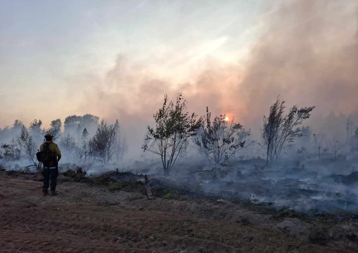 A firefighter stands next to large plumes of smoke and charred forest